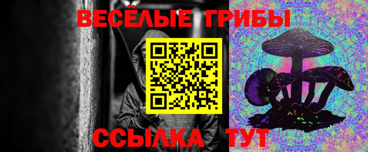 Галлюциногенные грибы GOLDEN TEACHER  Псилоцибиновые грибы мухоморы  Лянтор  Вход с VPN 