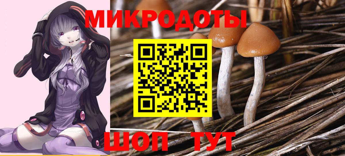 Псилоцибиновые грибы Psilocybe Лянтор