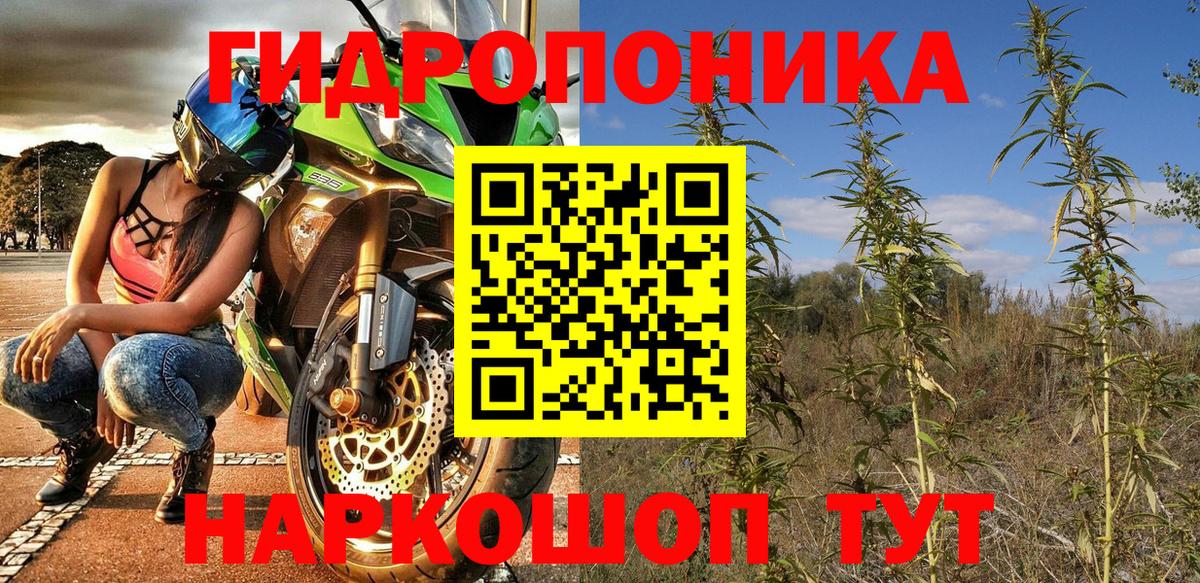 Бошки Шишки VHQ Лянтор
